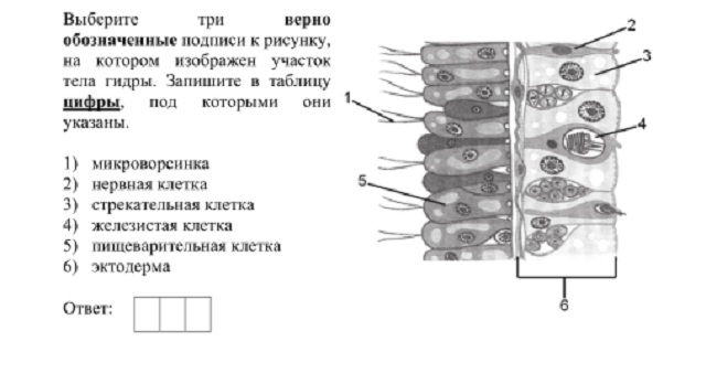 Kra12.cc