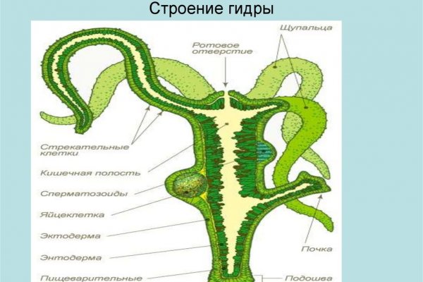 Кракен что это такое маркетплейс