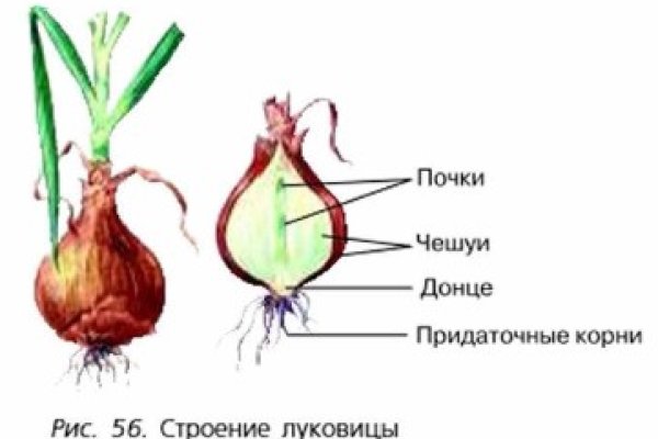 Кракен ссылка стор